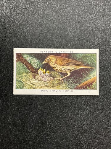 1937 player birds their - player's,