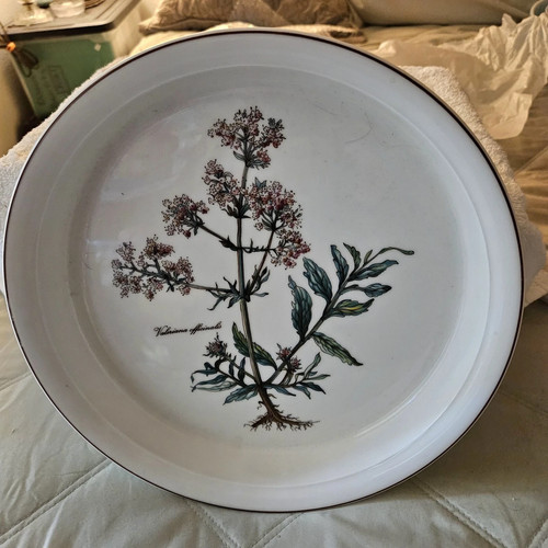 Villeroy boch botanica - &,