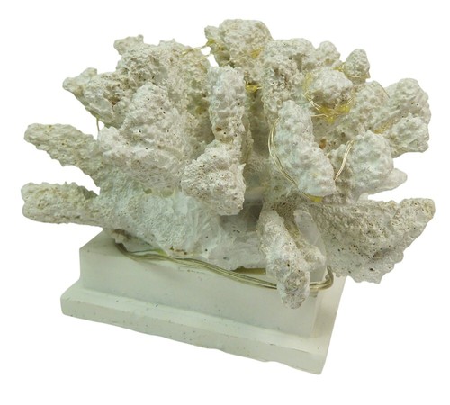 Corallo bianco led - corallo,
