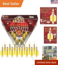 Tazze olio Hanukkah Menorah