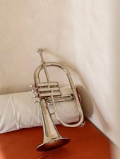 FlugelHorn=argento Bb-Flat 4