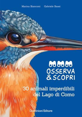 Libri basei gabriele - basei,