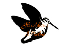 ADESIVO Beccaccia Scolopax