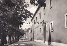 OTRICOLI:  Albergo Umbria    1965