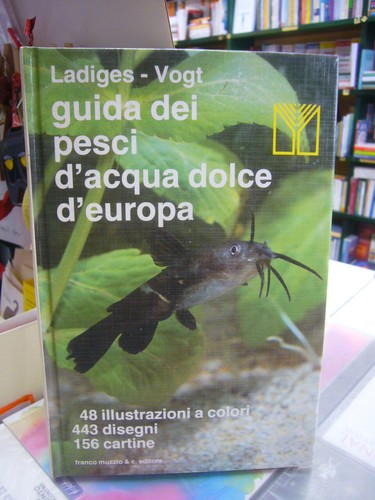 Guida dei pesci - pesci, d'acqua