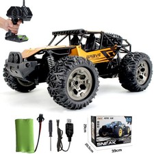 RC Auto Car Buggy Monster
