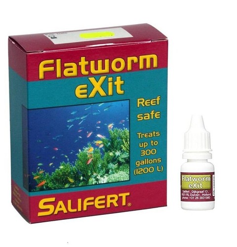 Salifert flatworm exit - flatworm,
