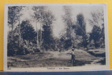 Tarch bosco andra - ne,