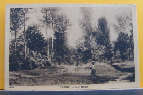 Tarch bosco andra - bosco, ,