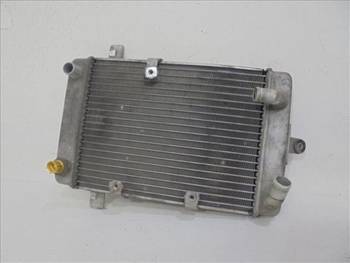 Radiatore acqua suzuki burgman - radiatore,