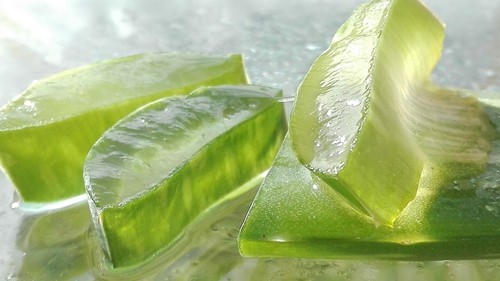 Foglie aloe vera bio - aloe, pianta