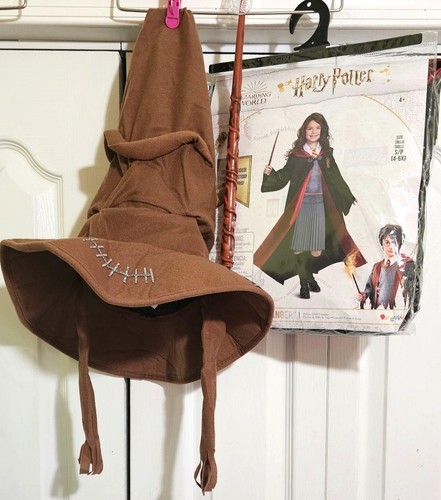 Costume harry potter hermione - harry,