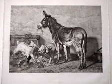 Francesco di Bartolo Palizzi Il ciuccio asino somaro  acquaforte originale 1870