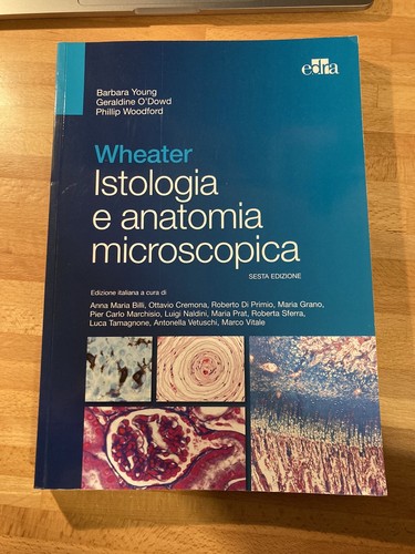 Wheater istologia anatomia - e,