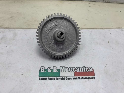Ingranaggio pompa olio ducati - pompa,