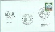 95586 - ITALIA - STORIA POSTALE - FRANCOBOLLO SPECIALE su copertina PING PONG 1988