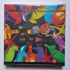 CRACKING ART REVOLUTION  Skira