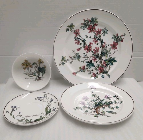 Piatti botanica villeroy - botanica, &
