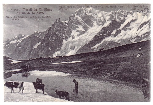 Courmayeur massif blanc - massif, du