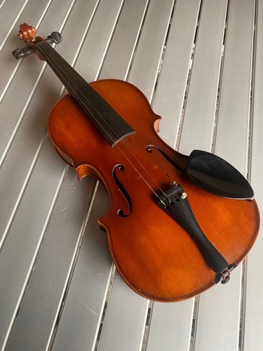 Karl hofner violino - hofner,