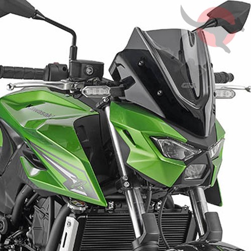 Cupolino givi kawasaki - cupolino, [givi]