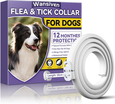 Collare Antipulci per Cani