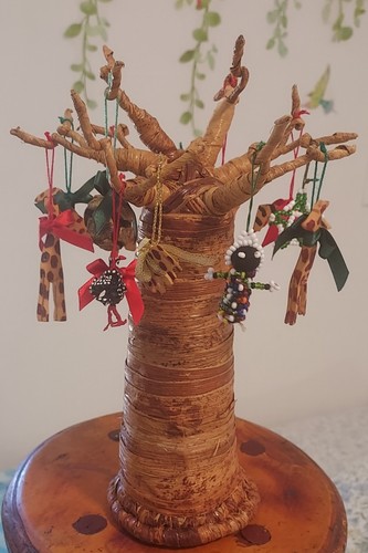 Albero baobab africano - albero, di