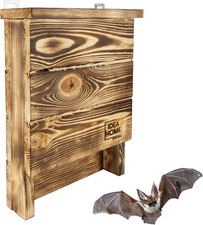 Leviatan Chiroptera Bat Box Made of Solid Wood - Ready Assembled, Marrone, 5 X 3