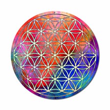 Acchiappa Sole Fiore Della