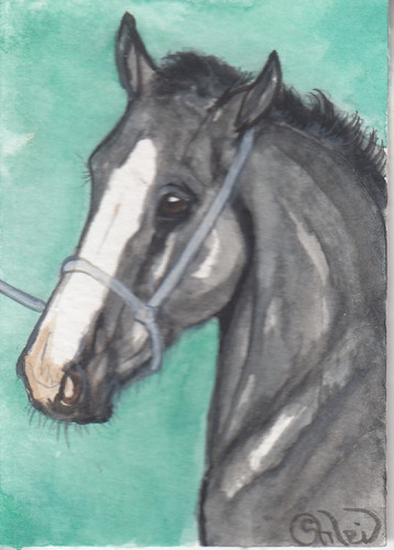Aceo originale acquerello - aceo,