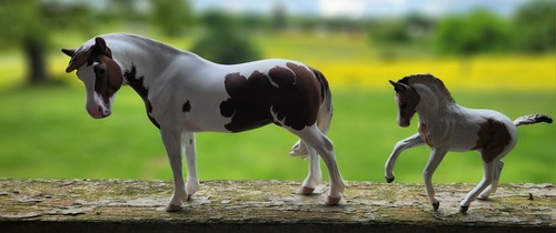 Breyer personalizzato - breyer,
