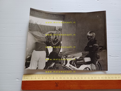 Buscherini consalvi - -,