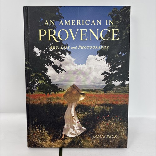 American provence art - american, provence: