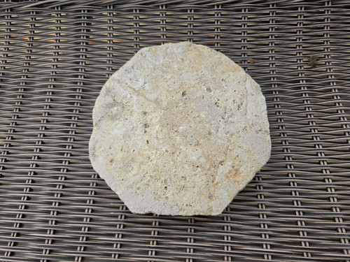 Rarissima piastrella - , da