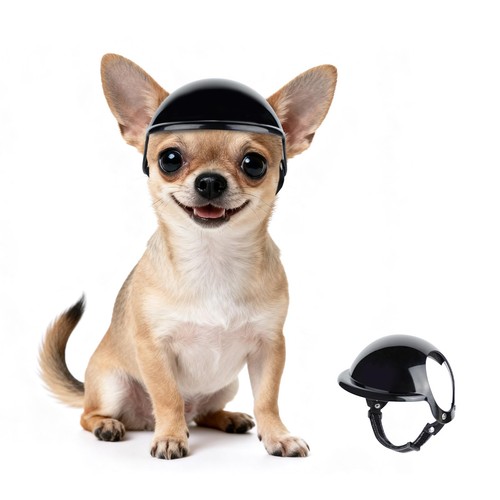 Petleso casco per cani - petleso,