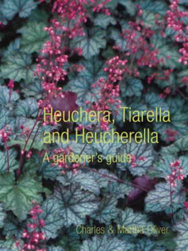 Heuchera tiarella and - tiarella,