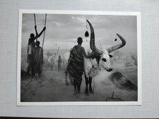 Sebastiao Salgado Genisis stampa fotografica borse editore Kei Sud Sudan 2006