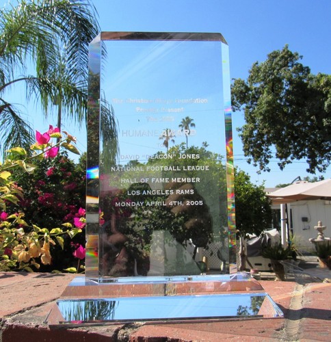 Raro premio umano football hof - premio,