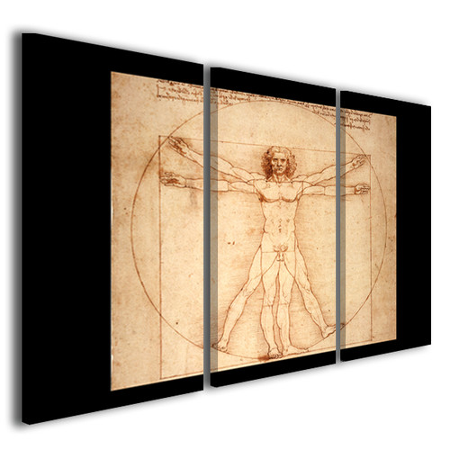 Stampe tela leonardo da - leonardo,