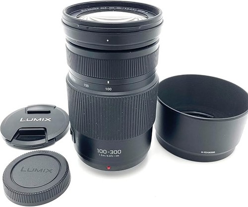 Panasonic lumix vario - g,