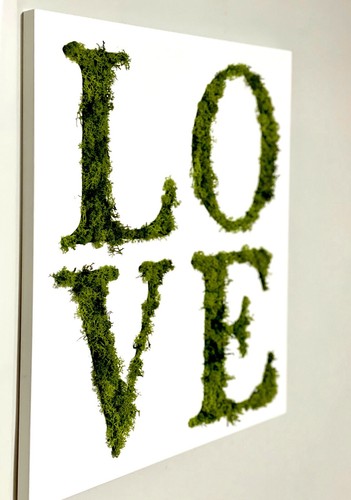 Quadro con muschio - quadro,
