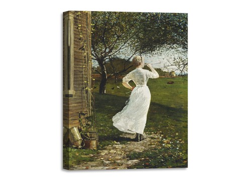 Quadro stampa tela con - su,