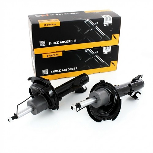 Coppia ammortizzatori gas - ammortizzatori, a