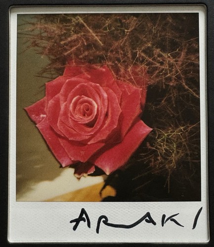 Polaroid firmata nobuyoshi - 🎈polaroid,