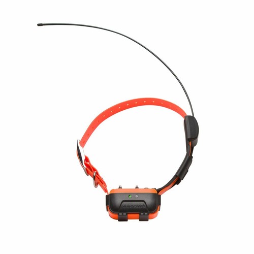 Canicom gps collar - collar, adicional