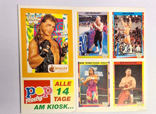 WWF Wrestling Merlin