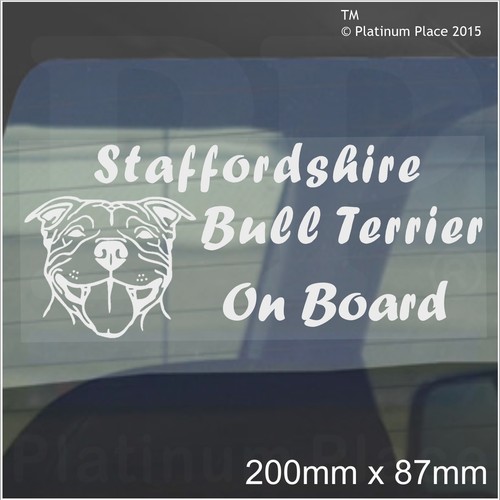 Staffordshire bull terrier - bull,