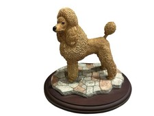Barboncino Best Of Breed By