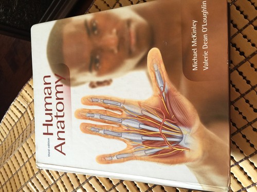Human anatomy 3rd edition - human,