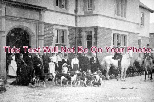 5680 fox hunting the - yo,